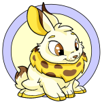 Yellow Cybunny