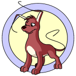 Red Gelert