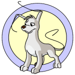 White Gelert