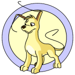 Yellow Gelert