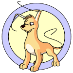 Yellow Gelert