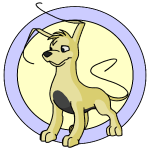 Yellow Gelert