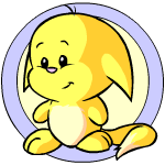 Yellow Kacheek