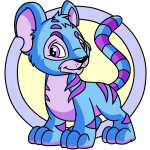 Blue Kougra