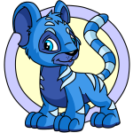 Blue Kougra