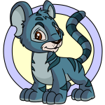 Blue Kougra