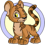 Brown Kougra