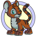 Brown Kougra