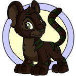 Brown Kougra