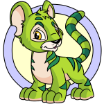 Green Kougra