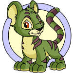 Green Kougra