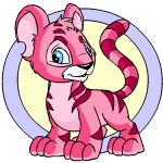 Pink Kougra