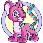 Pink Kougra