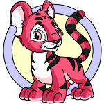 Pink Kougra