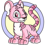 Pink Kougra