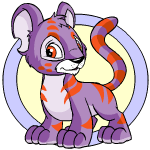 Purple Kougra