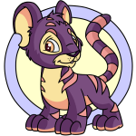 Purple Kougra