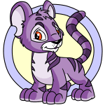 Purple Kougra