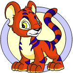 Red Kougra