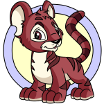 Red Kougra