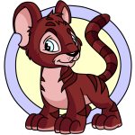 Red Kougra