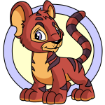 Red Kougra