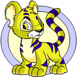 Yellow Kougra