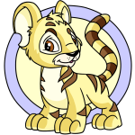 Yellow Kougra