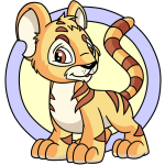 Yellow Kougra