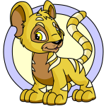 Yellow Kougra