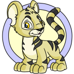 Yellow Kougra