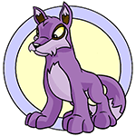 Purple Lupe