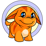 Orange Poogle