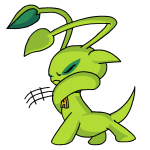 Green Aisha