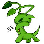 Green Aisha