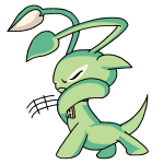 Green Aisha