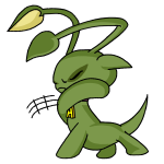 Green Aisha