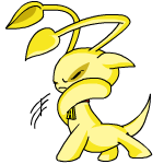 Yellow Aisha