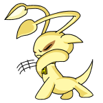 Yellow Aisha