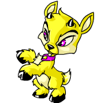 Yellow Ixi