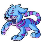 Blue Kougra