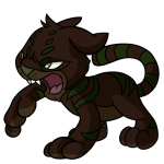 Brown Kougra