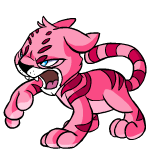 Pink Kougra