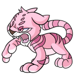 Pink Kougra