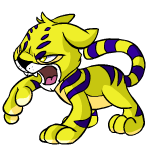 Yellow Kougra