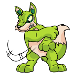 Green Lupe