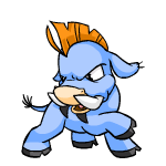 Blue Moehog