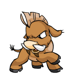 Brown Moehog