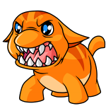 Orange Poogle