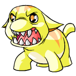 Yellow Poogle